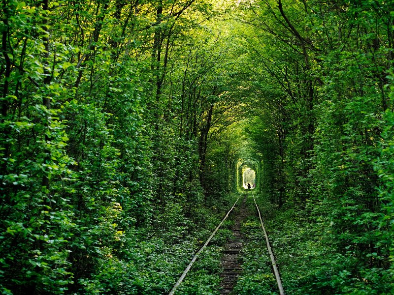 07-tunnel-of-love-ukraine-cr-getty.jpg 07-tunnel-of-love-ukraine-cr-getty.jpg
