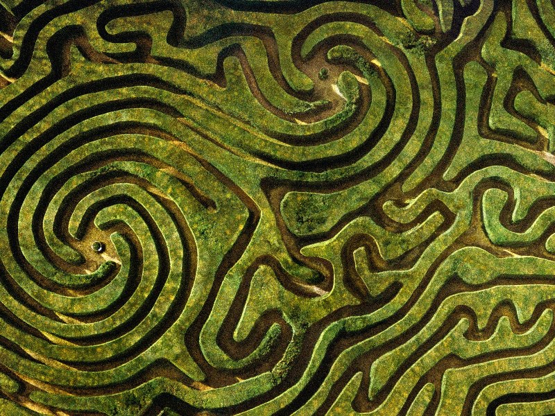 18-longleat-maze-wiltshire-england-cr-getty.jpg 18-longleat-maze-wiltshire-england-cr-getty.jpg