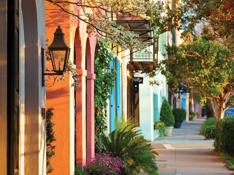 04-charleston_east_bay_dogwood.jpg 04-charleston_east_bay_dogwood.jpg