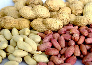 Арахис: полезные свойства арахиса и вред арахиса