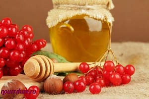 Отвар свежих плодов калины с мёдом при хроническом кашле