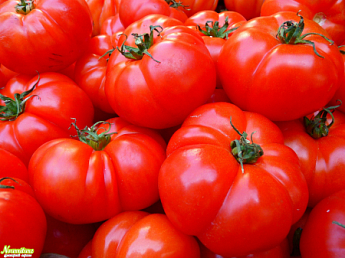 Заметка N715: "Как хранить томатное пюре?"