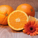 Сонник апельсин