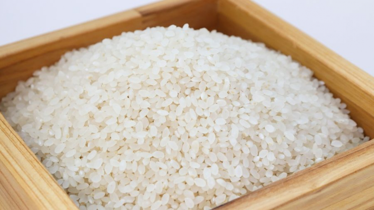 Сонник рис